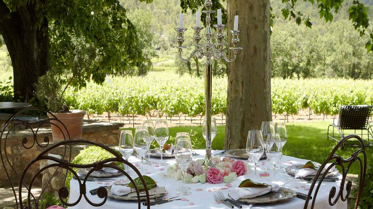 Lunch in Winery & tasting