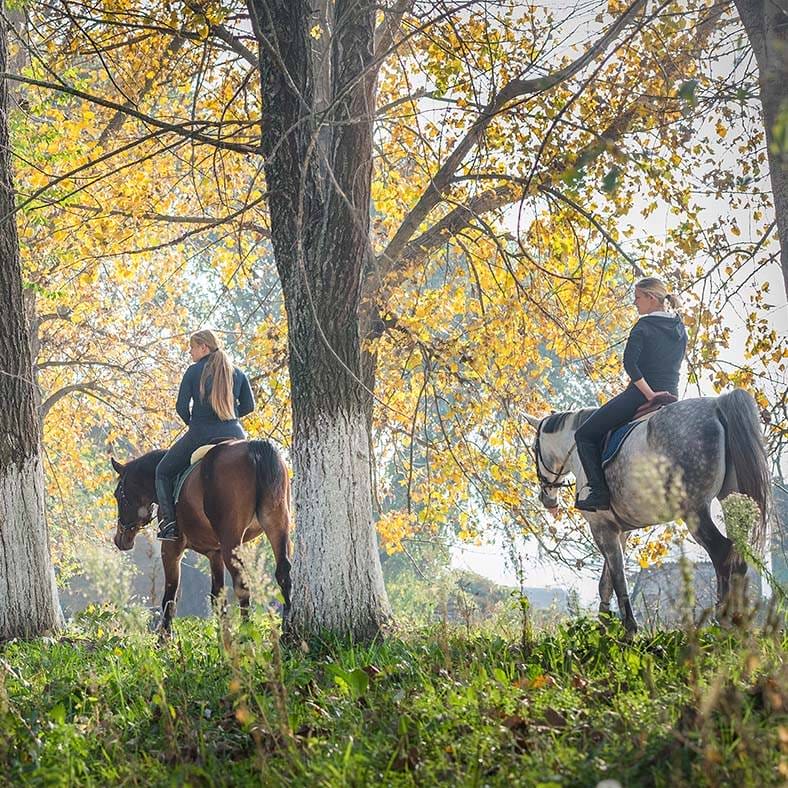 Tenuta Torciano Cantina - Passeggiata a cavallo e degustazione (x 1 persona)- Buono Regalo