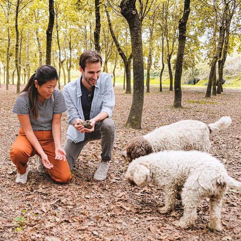 Tenuta Torciano Winery - Truffle Hunting with Lunch Gift Voucher