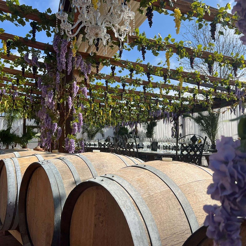 Tenuta Torciano Cantina - Pranzo in veranda sul giardino con degustazione (x 1 persona) - Buono Regalo