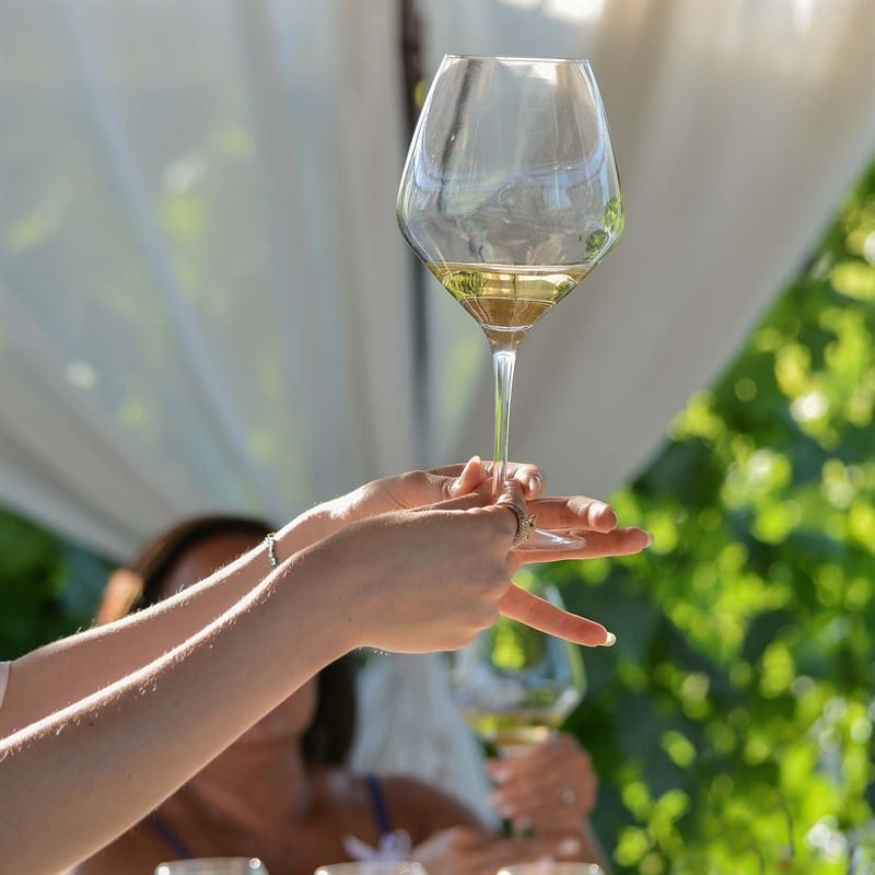 Tenuta Torciano Winery - Lunch in the Vineyard with Wine Tasting - Gift Voucher