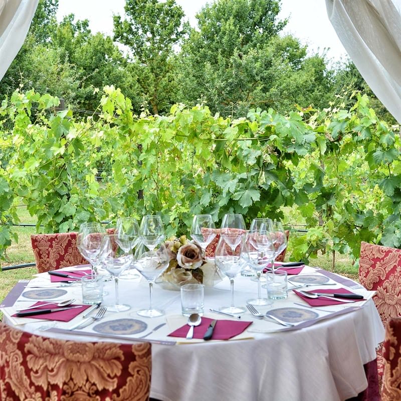 Tenuta Torciano Winery - Lunch in the Vineyard with Wine Tasting - Gift Voucher