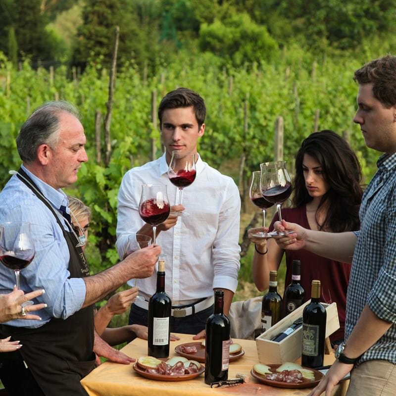 Tenuta Torciano Cantina - Pranzo in Vigna con degustazione (x 1 persona) - Buono Regalo