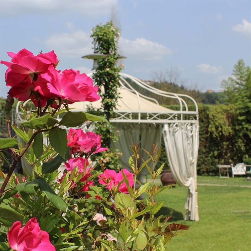 Tenuta Torciano Cantina - Pranzo nel giardino & Degustazione (x 1 persona) - Buono regalo