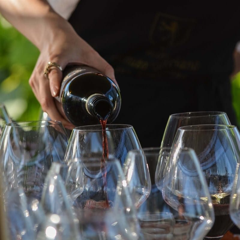 Tenuta Torciano Cantina - Cena in vigna (x 1 persona) - Buono Regalo