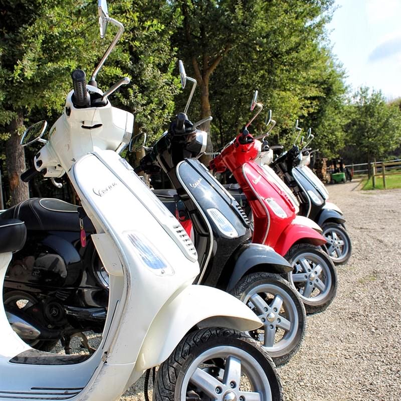 Tenuta Torciano Winery - Vespa Tour with Lunch and Wine Tasting - Gift Voucher