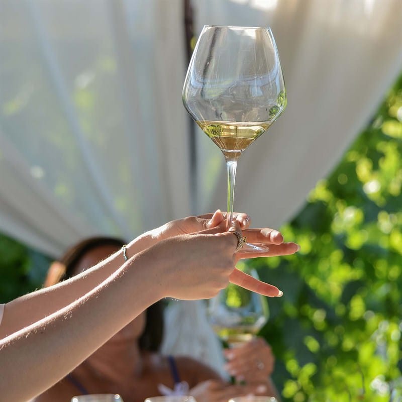 Tenuta Torciano Winery - Outdoor dinner & Wine tasting - Gift Voucher