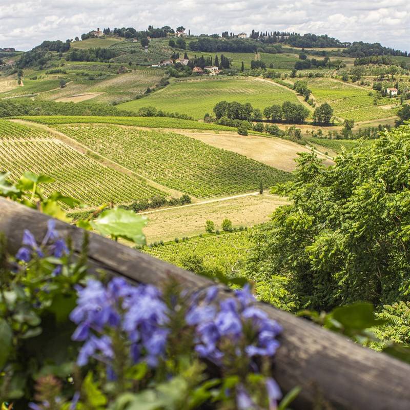 Torciano Hotel - Stay in Tuscany with Lunch and tasting in Winery - Gift Voucher