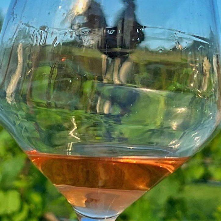 Rose Still Wine IGT Toscana