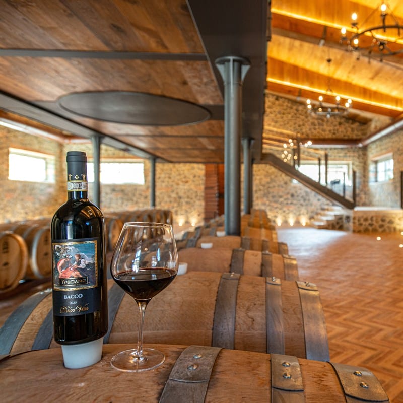 Tenuta Torciano Cantina - Degustazione di vini in botte  (x 1 persona) - Buono Regalo