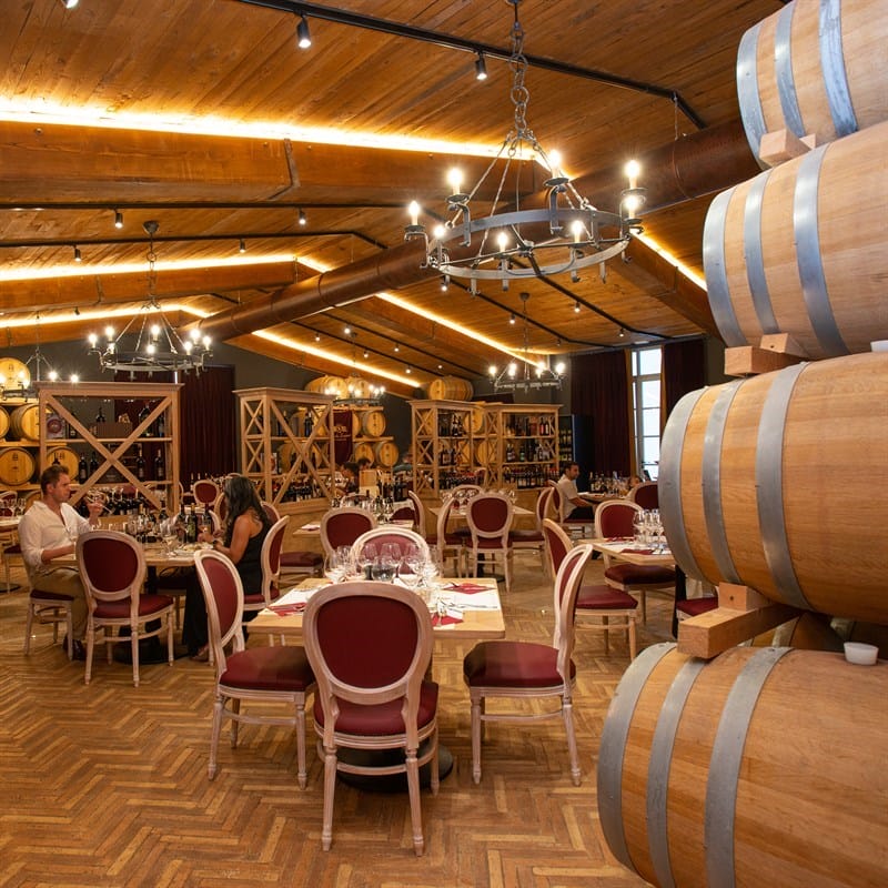 Tour di 2 Cantine del Chianti (x1 persona) - Buono Regalo