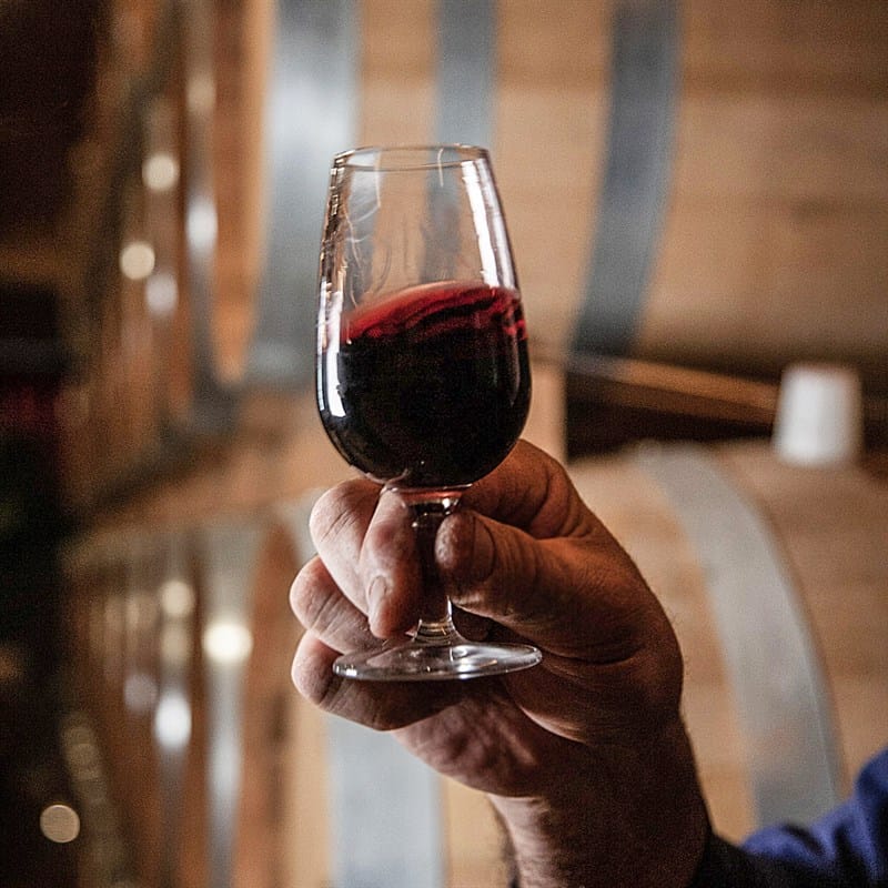 Tour di 2 Cantine del Chianti (x1 persona) - Buono Regalo