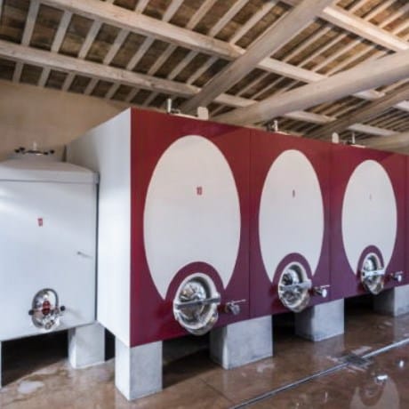 Tour di 2 Cantine del Chianti (x1 persona) - Buono Regalo