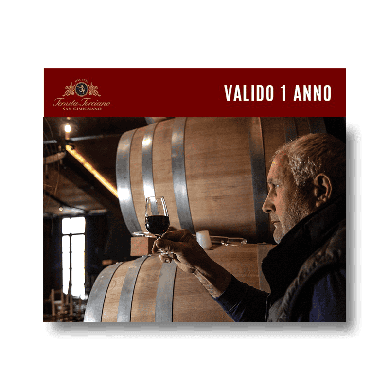 Tour di 2 Cantine del Chianti (x1 persona) - Buono Regalo