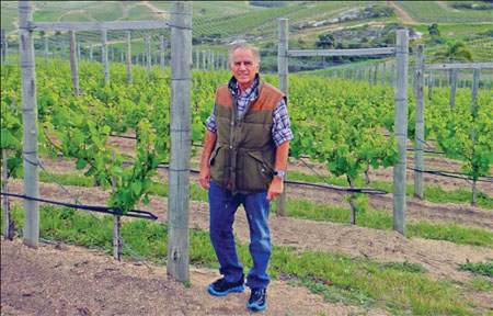 I vini toscani conquistano le celebrità