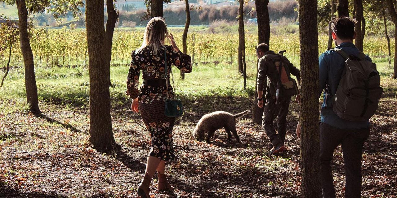 Truffle Hunting