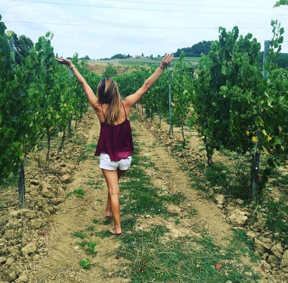 Tenuta Torciano: Between Wine and Nature