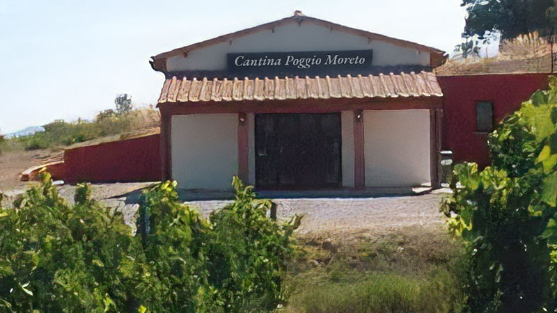 Vigneto e cantina