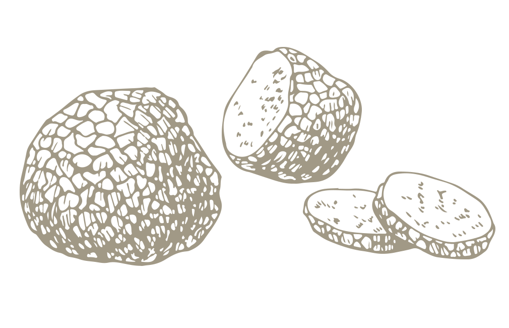 grapes