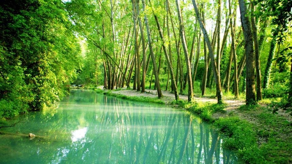 Le persone vivono più a lungo quando sono circondate dalla natura