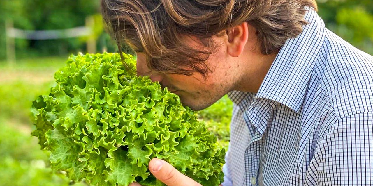 Fresh vegetables from the garden