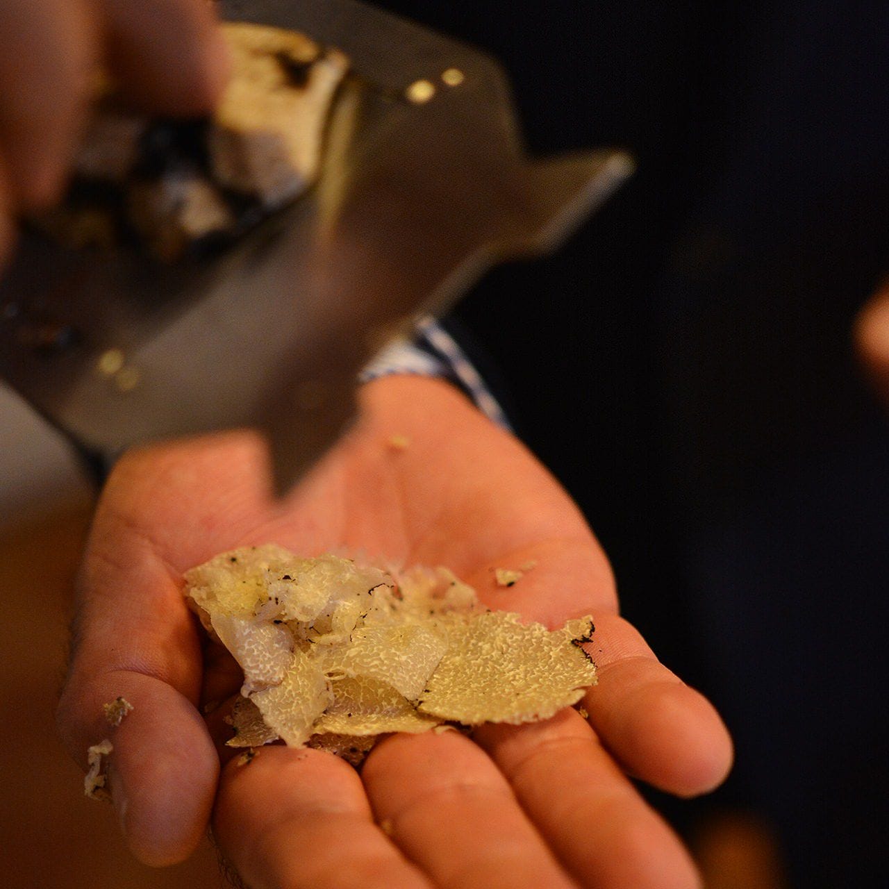 Truffle