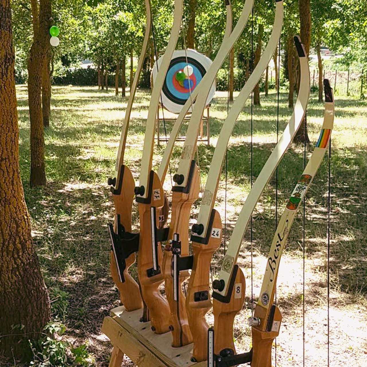 Archery Experience
