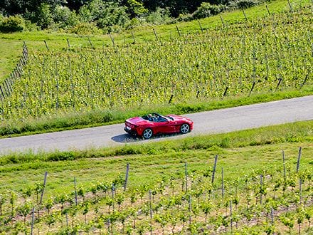 Ferrari Tour