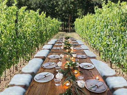 Romantic Lunch or Dinner in Vine Rows