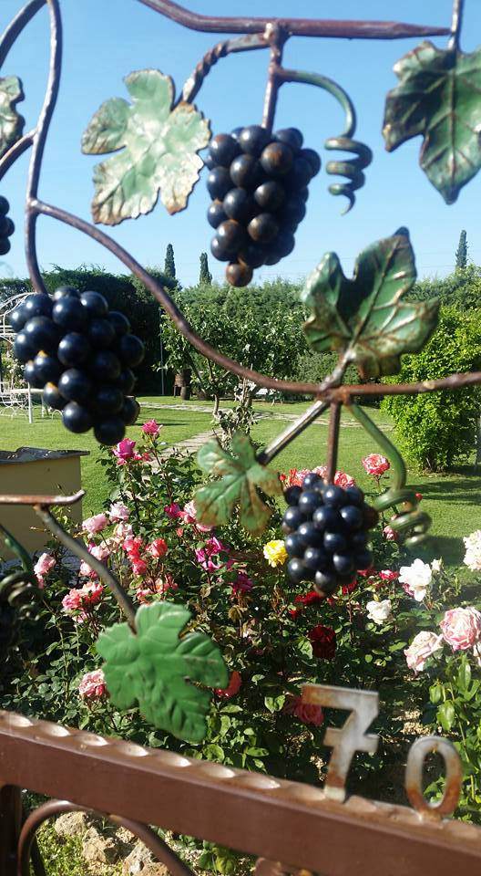 Momenti di vita a Tenuta Torciano