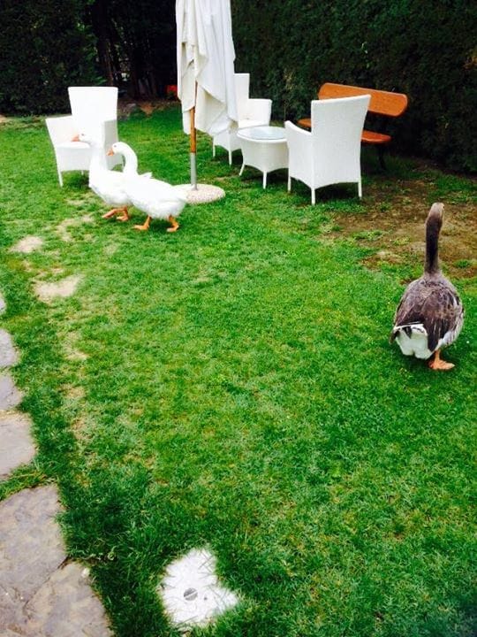 Momenti di vita a Tenuta Torciano