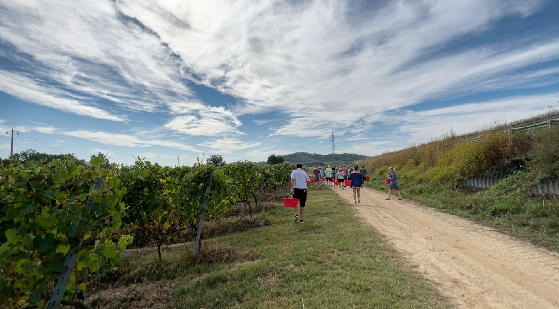Ospiti percorrono la strada tra i filari portando i cesti rossi della vendemmia