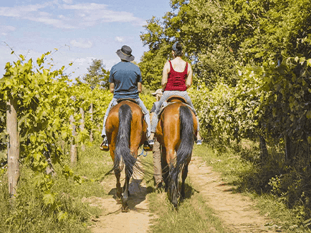 Horseback Riding