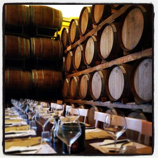 Momenti di vita a Tenuta Torciano