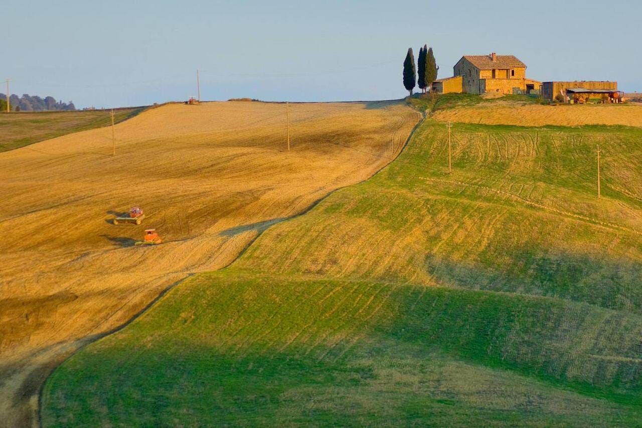 Stagione del Tartufo in Toscana