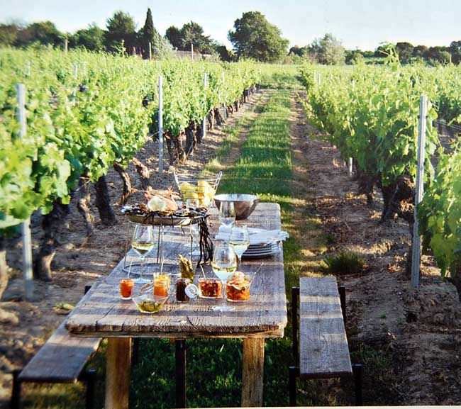 pranzo vigna toscana