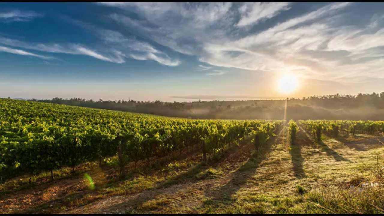 Stagione del Tartufo in Toscana