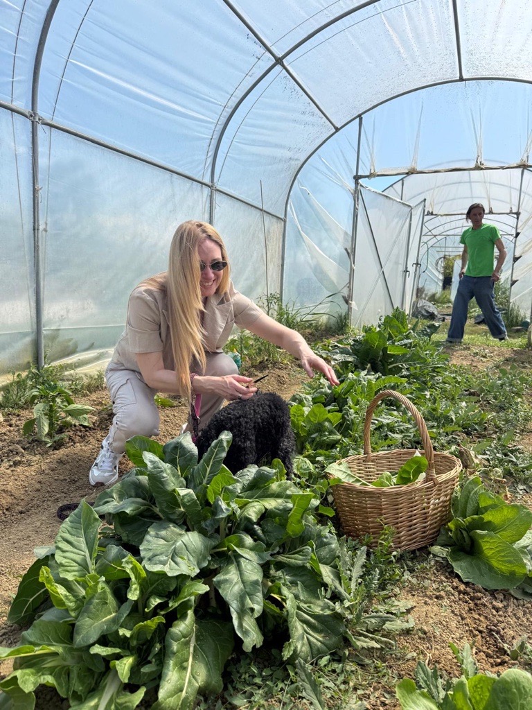 Culinary garden at Tenuta Torciano