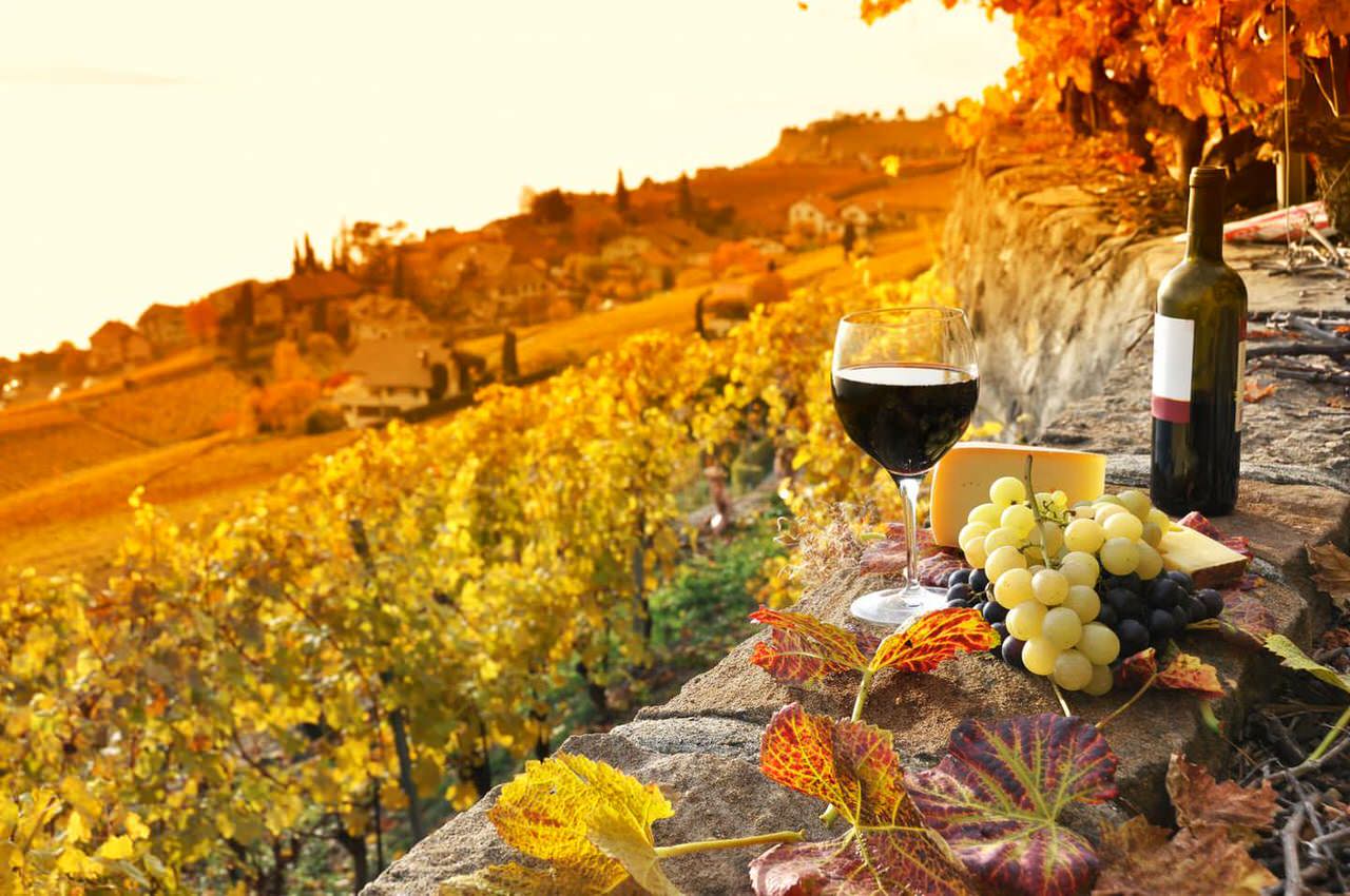 senset tuscany