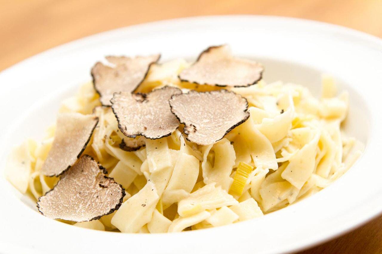 Caccia al Tartufo: esperienza unica in Toscana