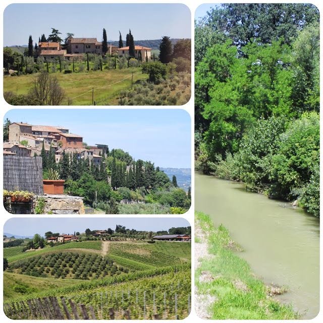 Great review of Torciano Winery