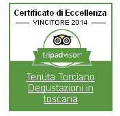 tripadvisor