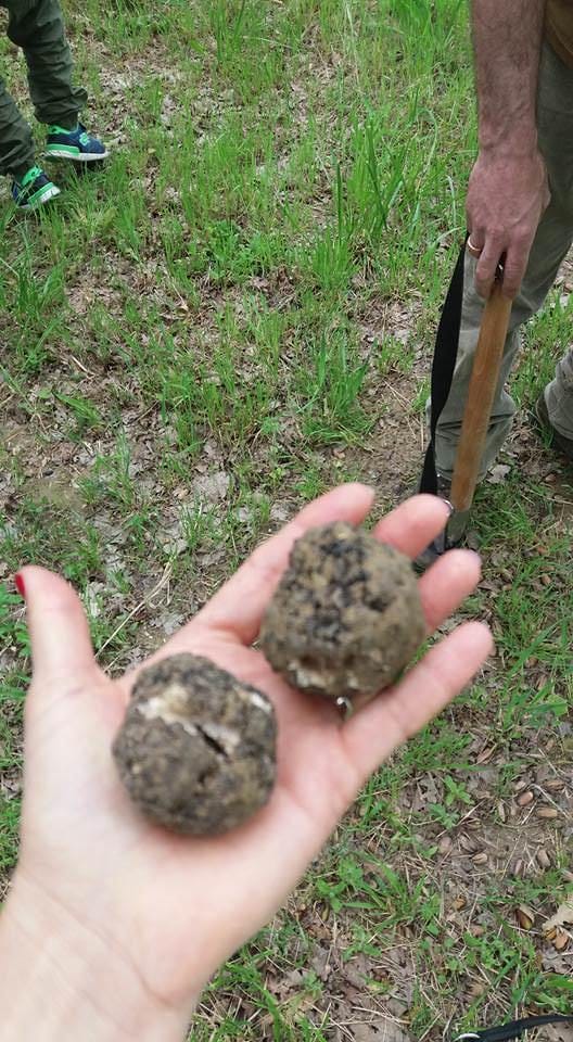 truffle