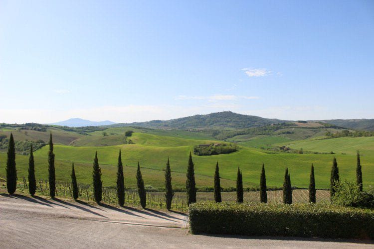 Grazie per la visita in Tenuta Torciano