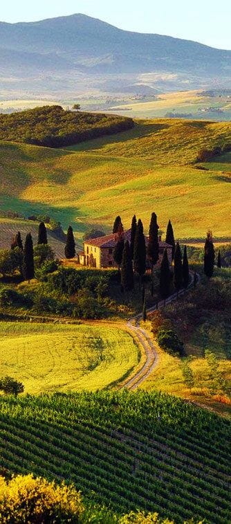 villa%vigneto