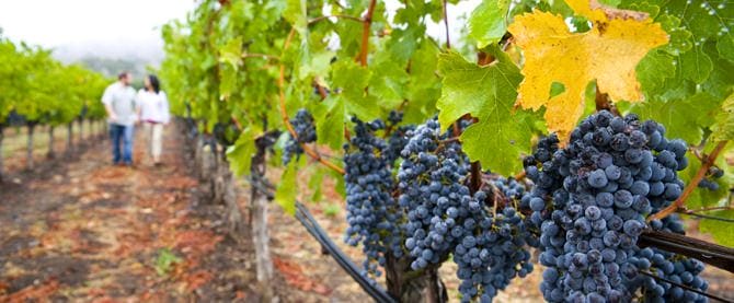 The wellbeing of mind and body in Tuscany