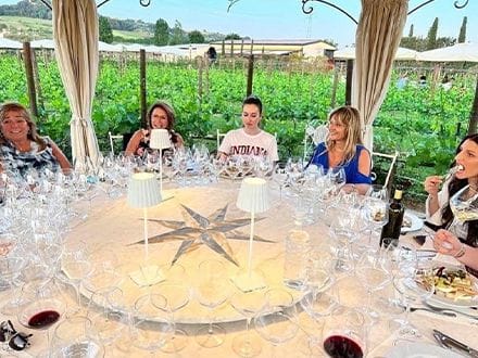 Romantic lunch in vineyard