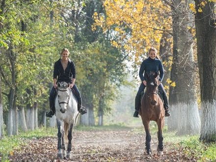 Horse Riding