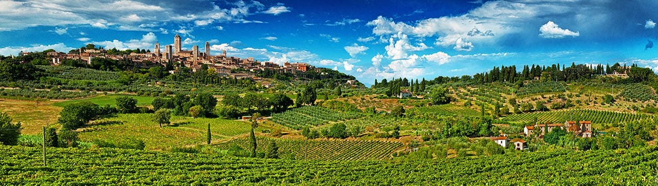 SanGimignano Vineyards