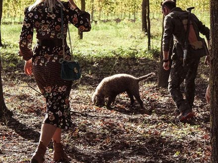 Truffle Hunt Lunch Tasting